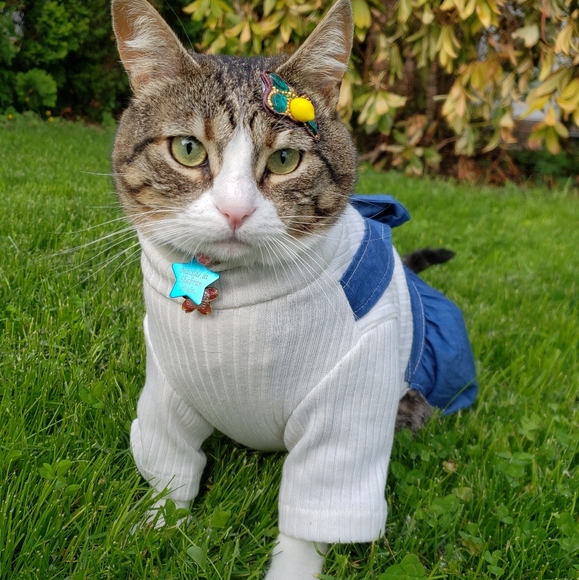 Hand-Embroidered, Handmade Wisp Hair Clips - Picture 10 of 12